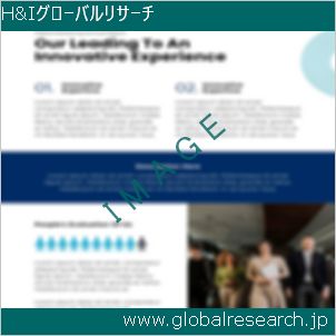 グローバルリサーチ調査レポートのイメージ